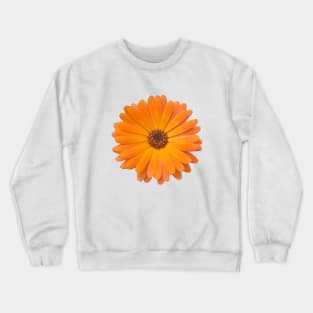 Orange Daisy Photo Crewneck Sweatshirt